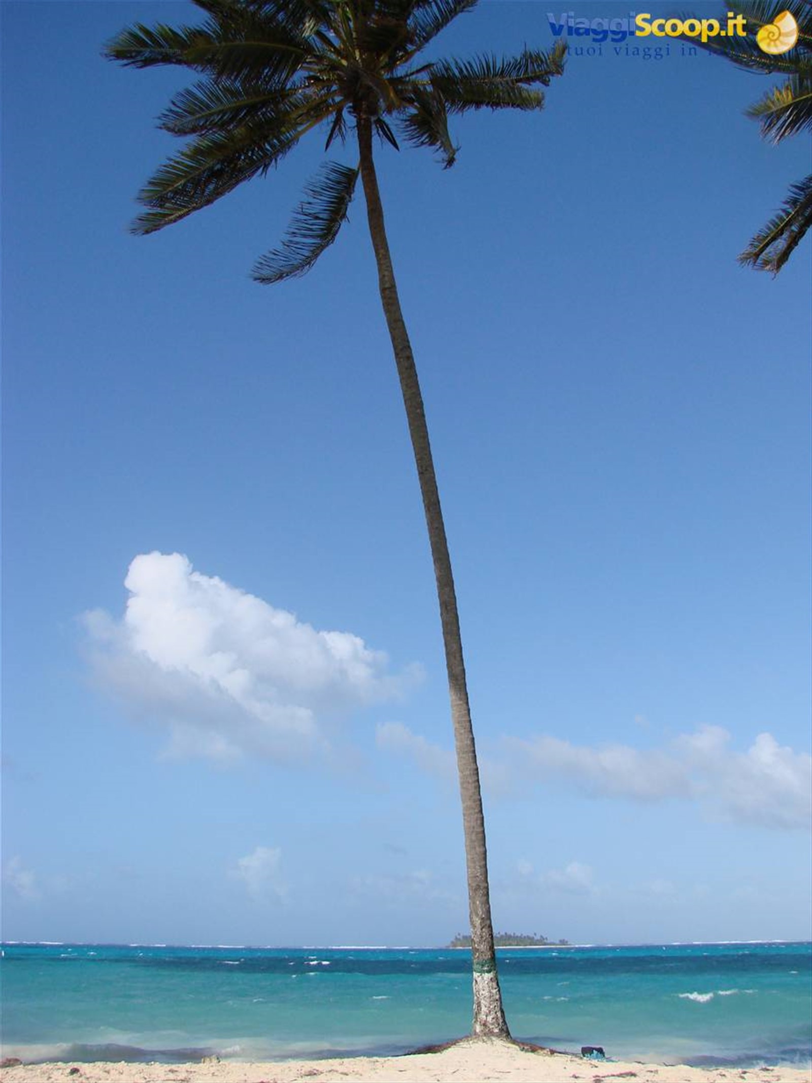 Jhonny Cay - Sardina Bay - El CEntro - San Andres Isla