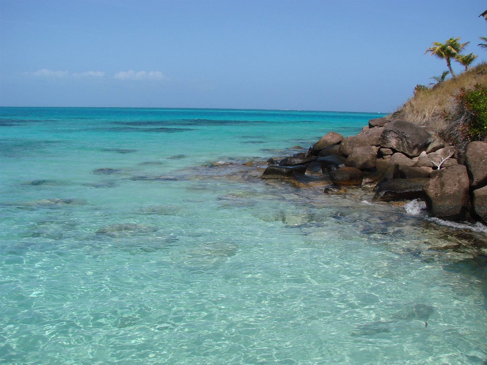 cayo cangreyo