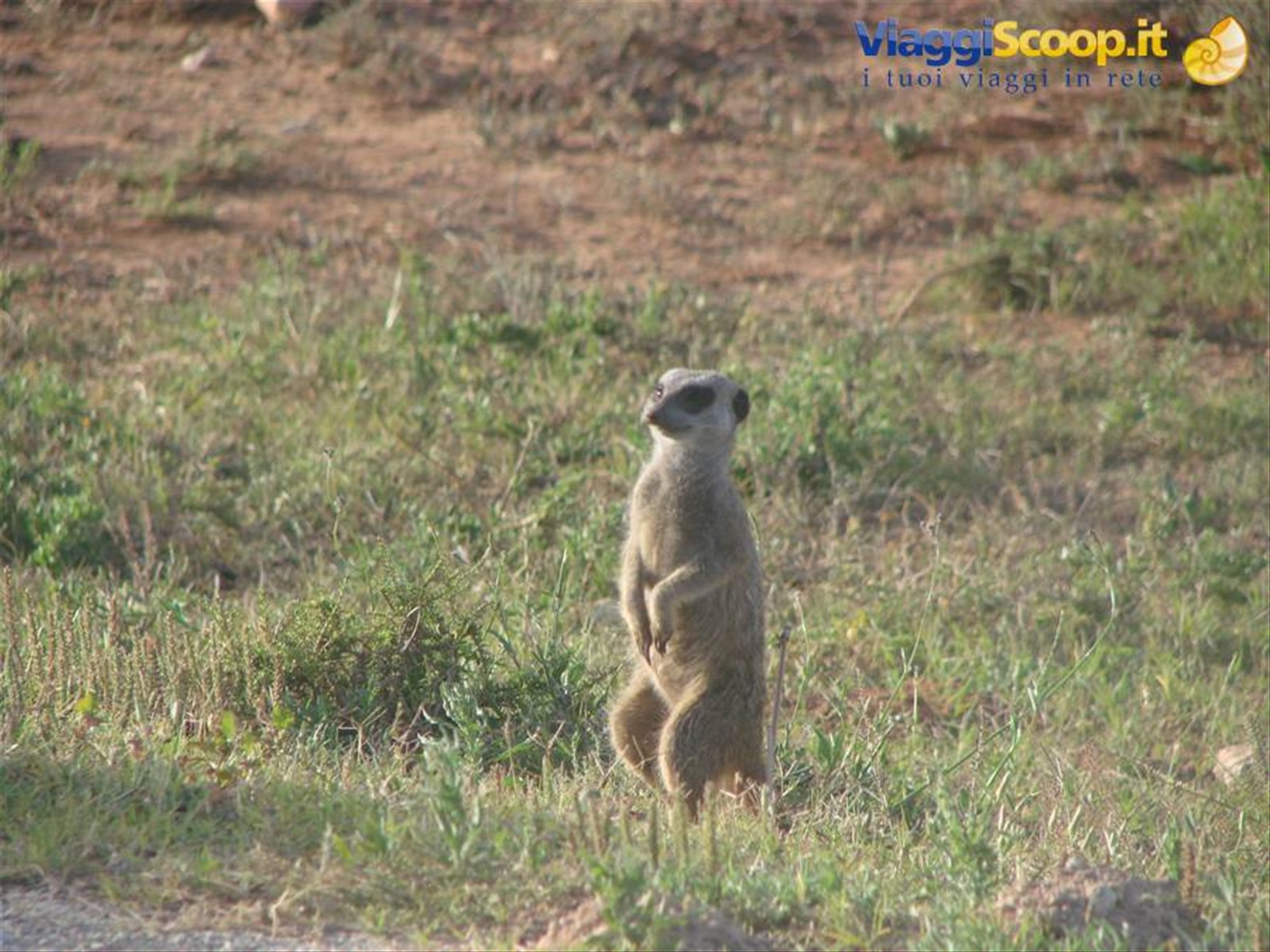 Foto di viaggio in SUD AFRICA