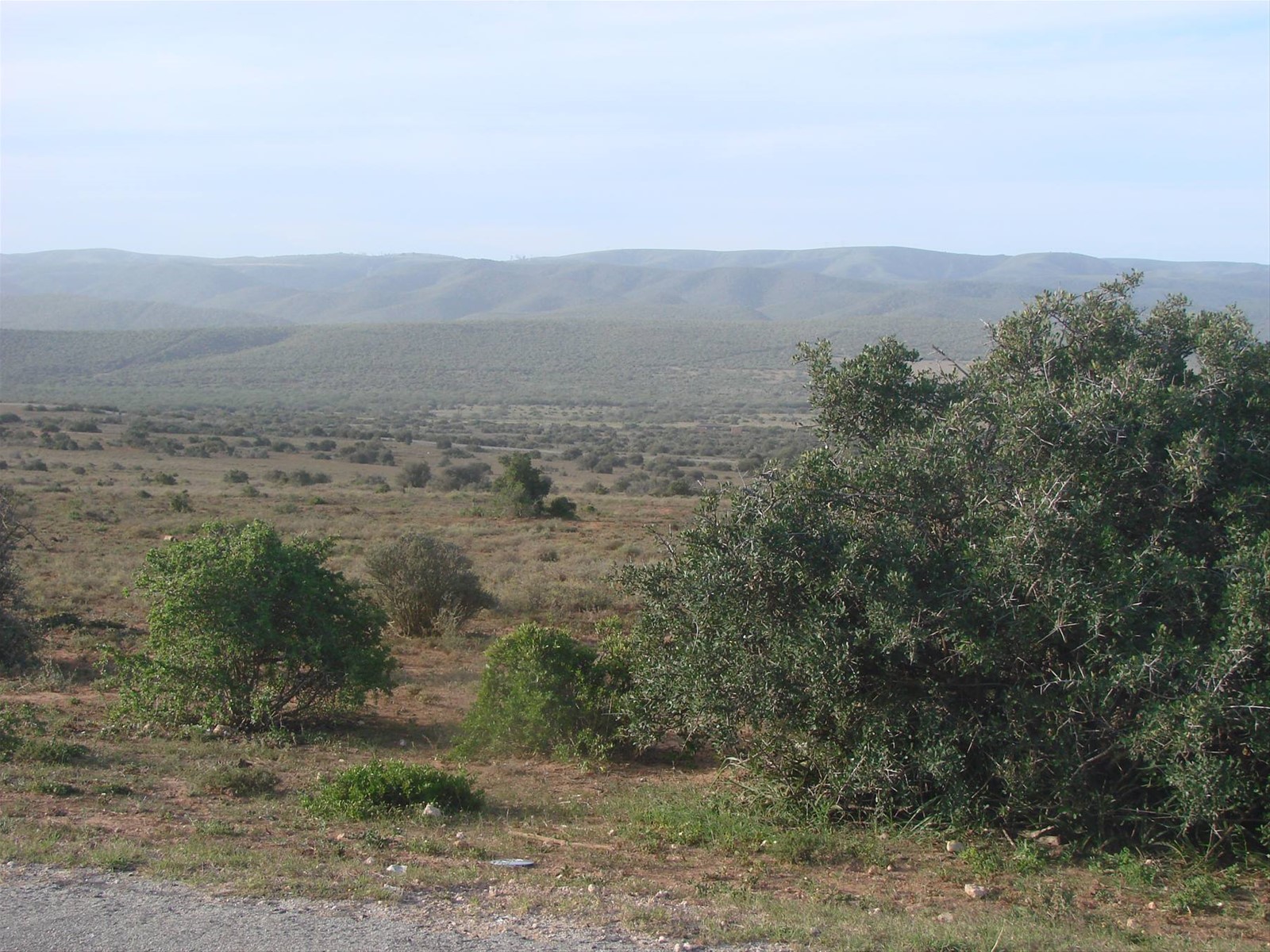 Addo Elephant National Park