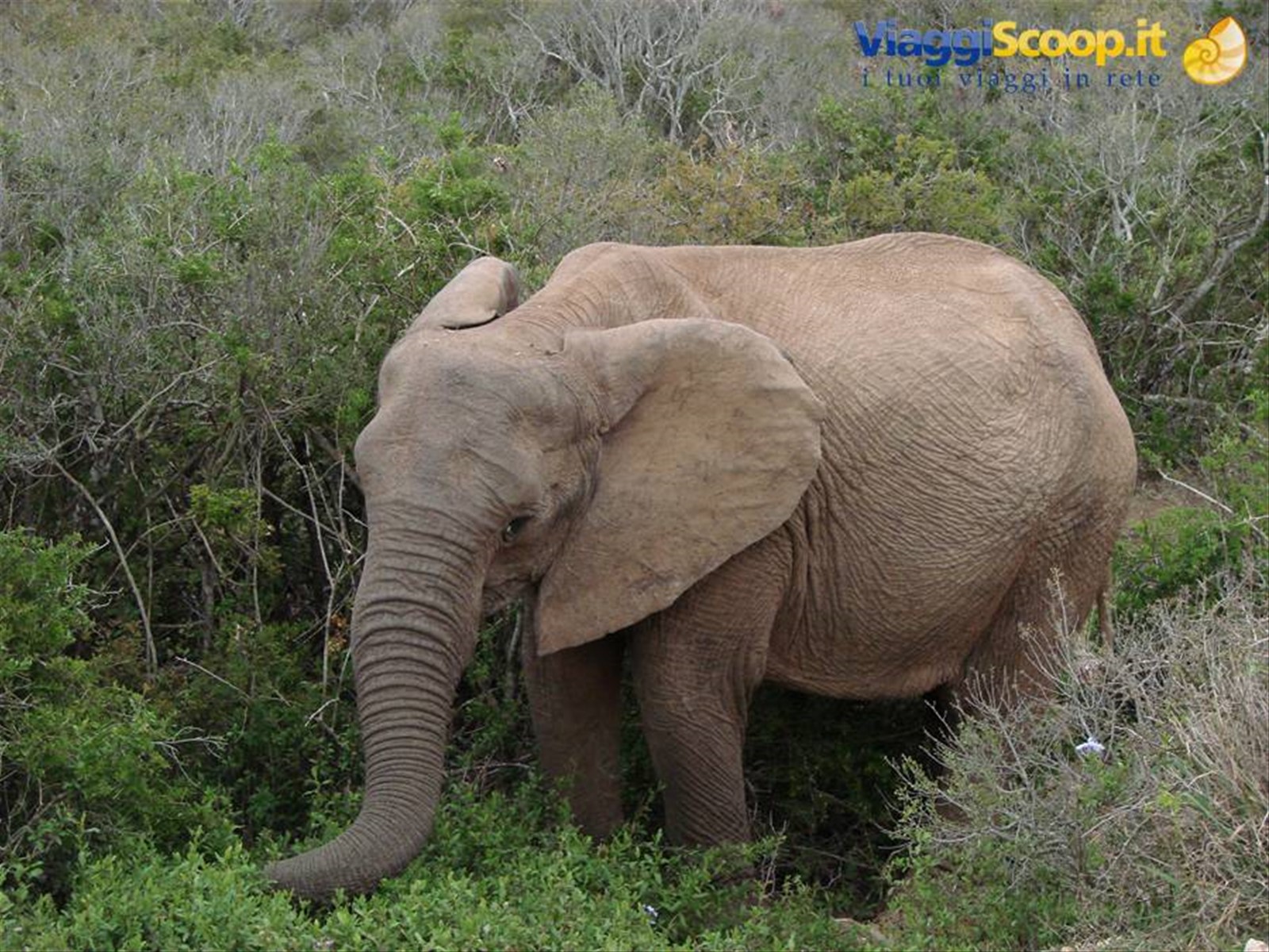 Foto di viaggio in SUD AFRICA