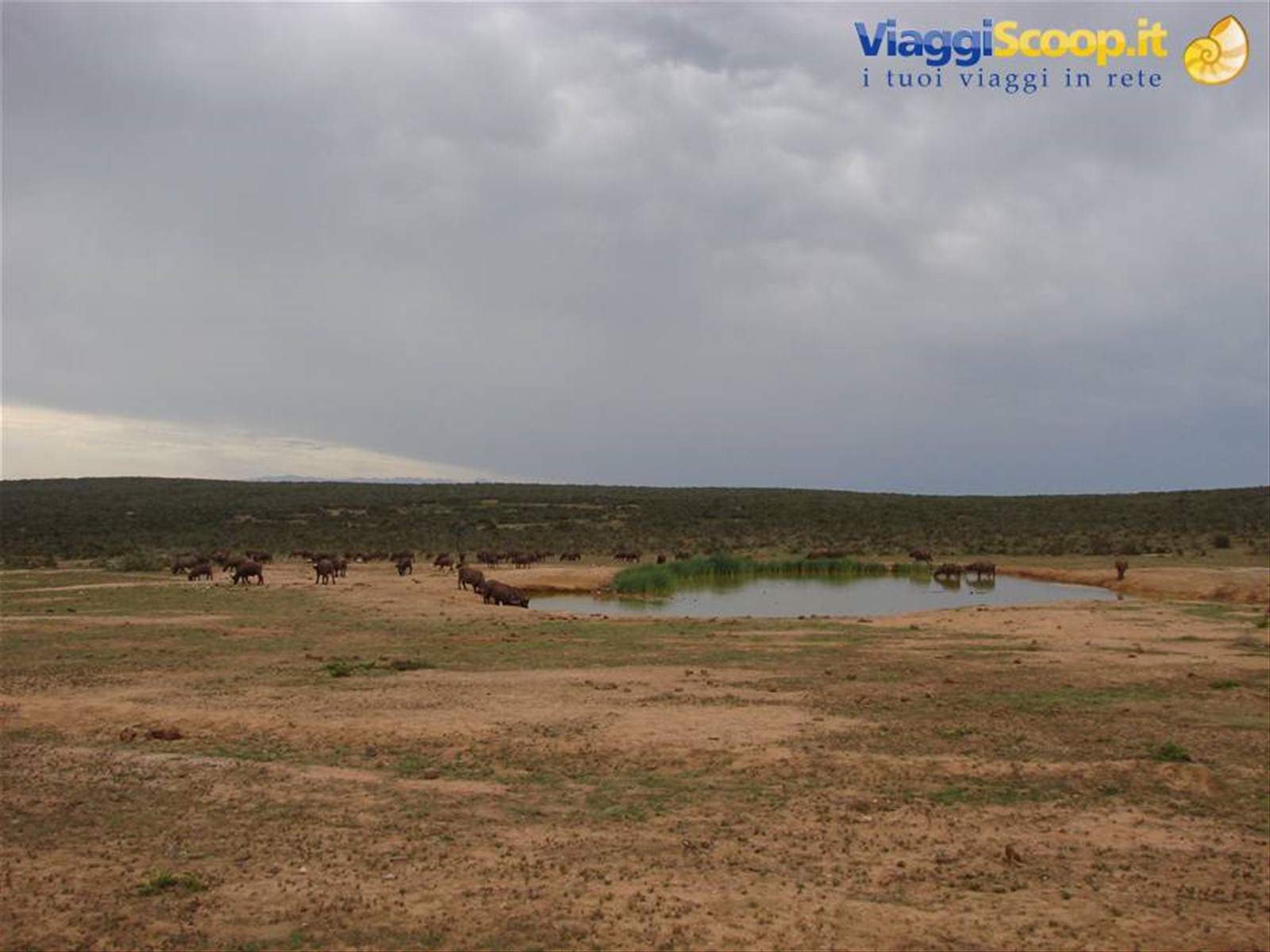 Foto di viaggio in SUD AFRICA