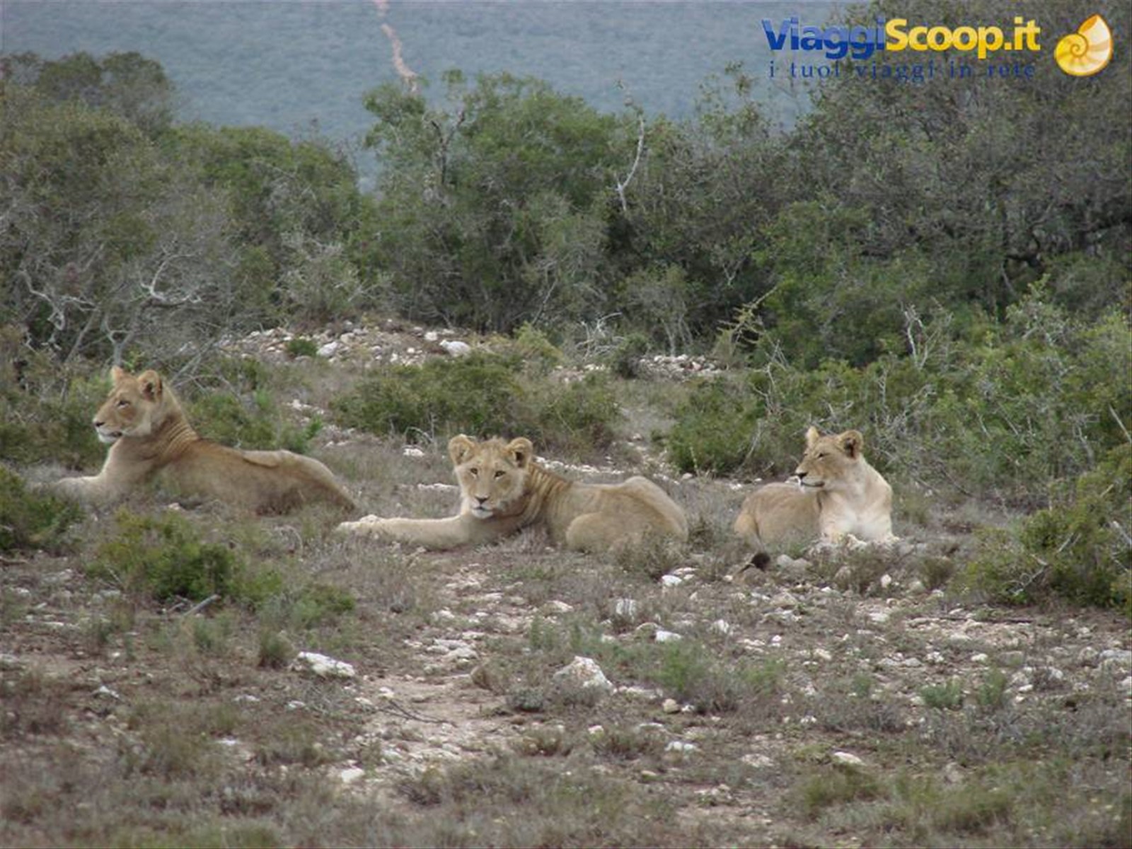 Foto di viaggio in SUD AFRICA