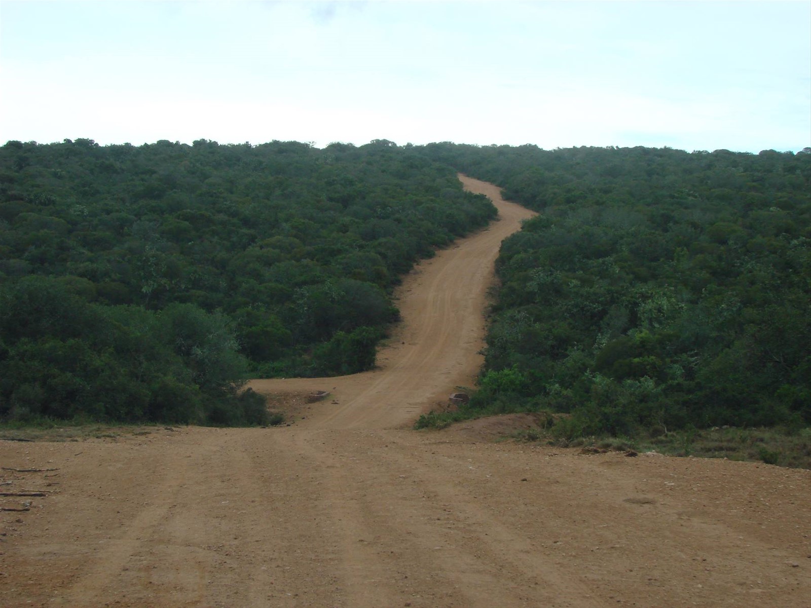 Foto di viaggio in SUD AFRICA