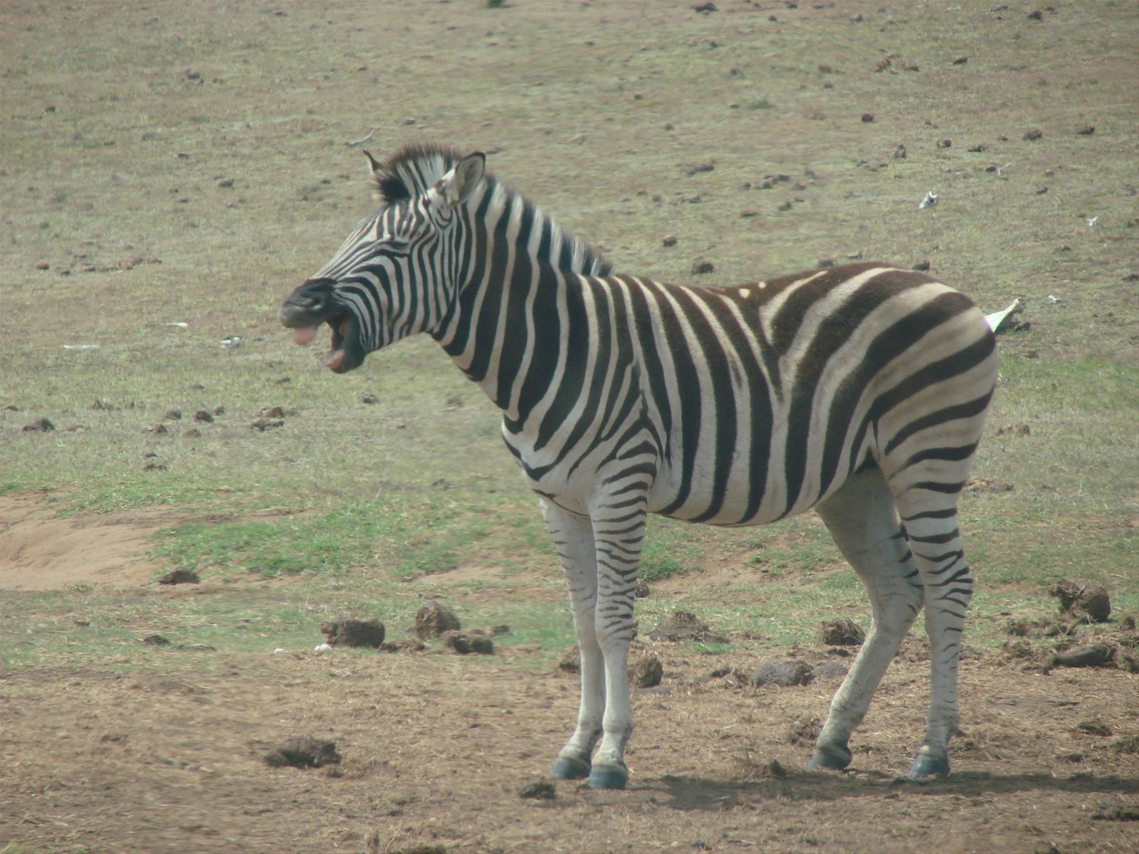 Foto di viaggio in SUD AFRICA