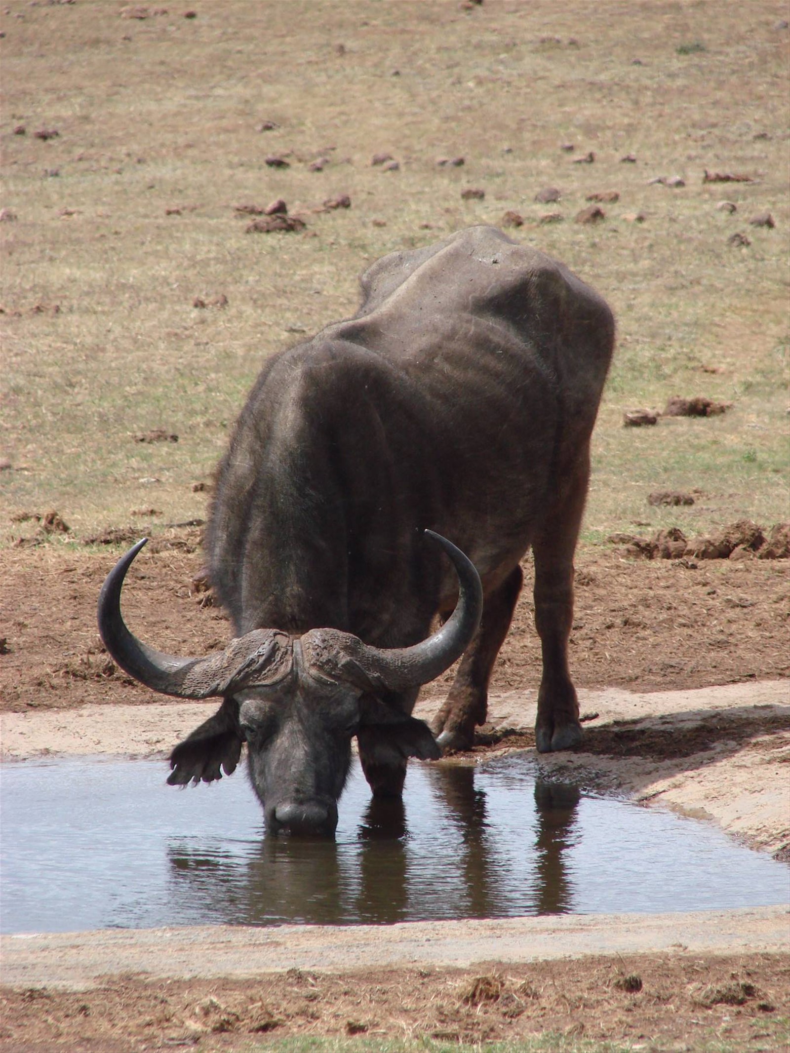 Foto di viaggio in SUD AFRICA