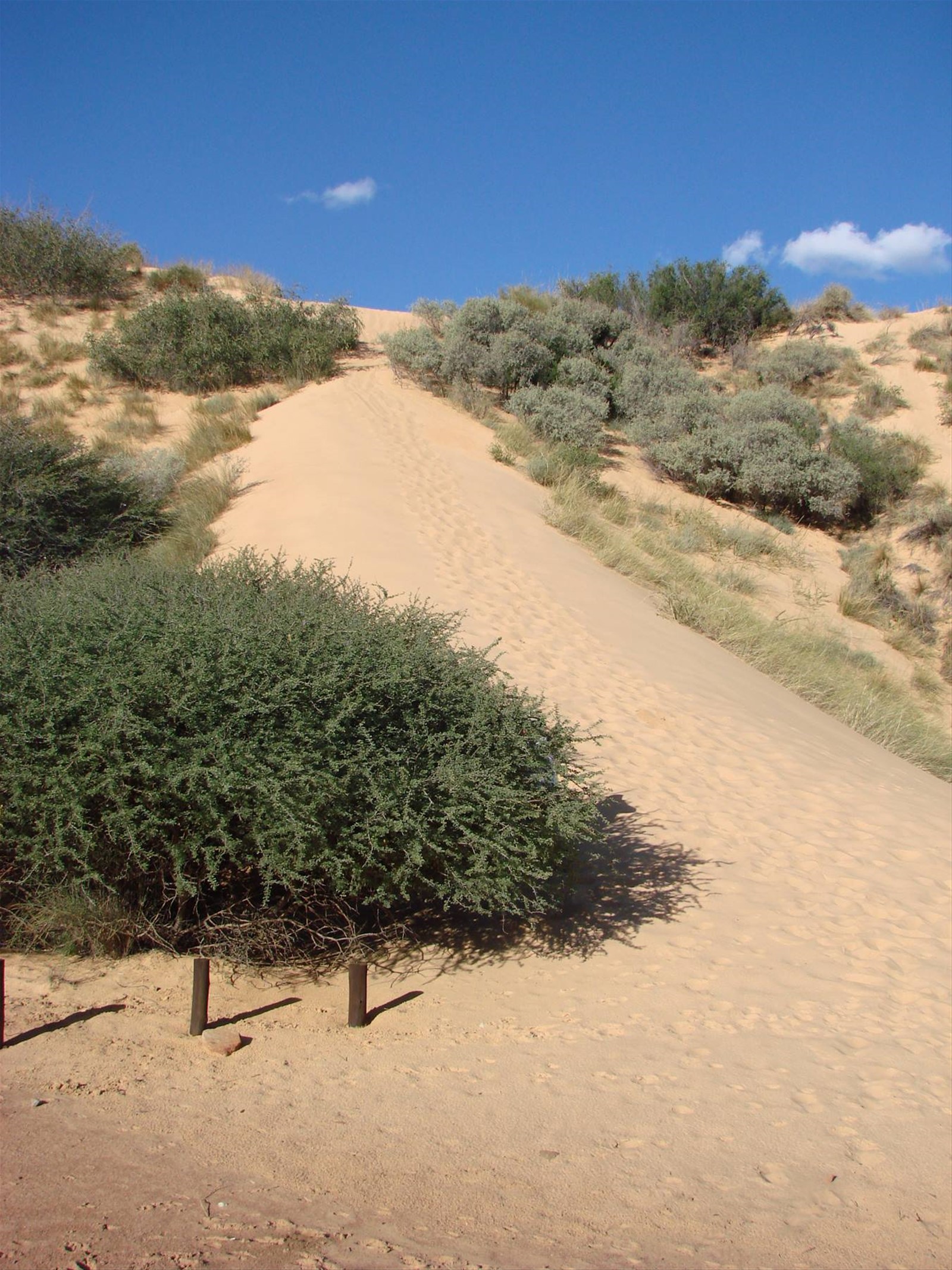 Witsand reserve