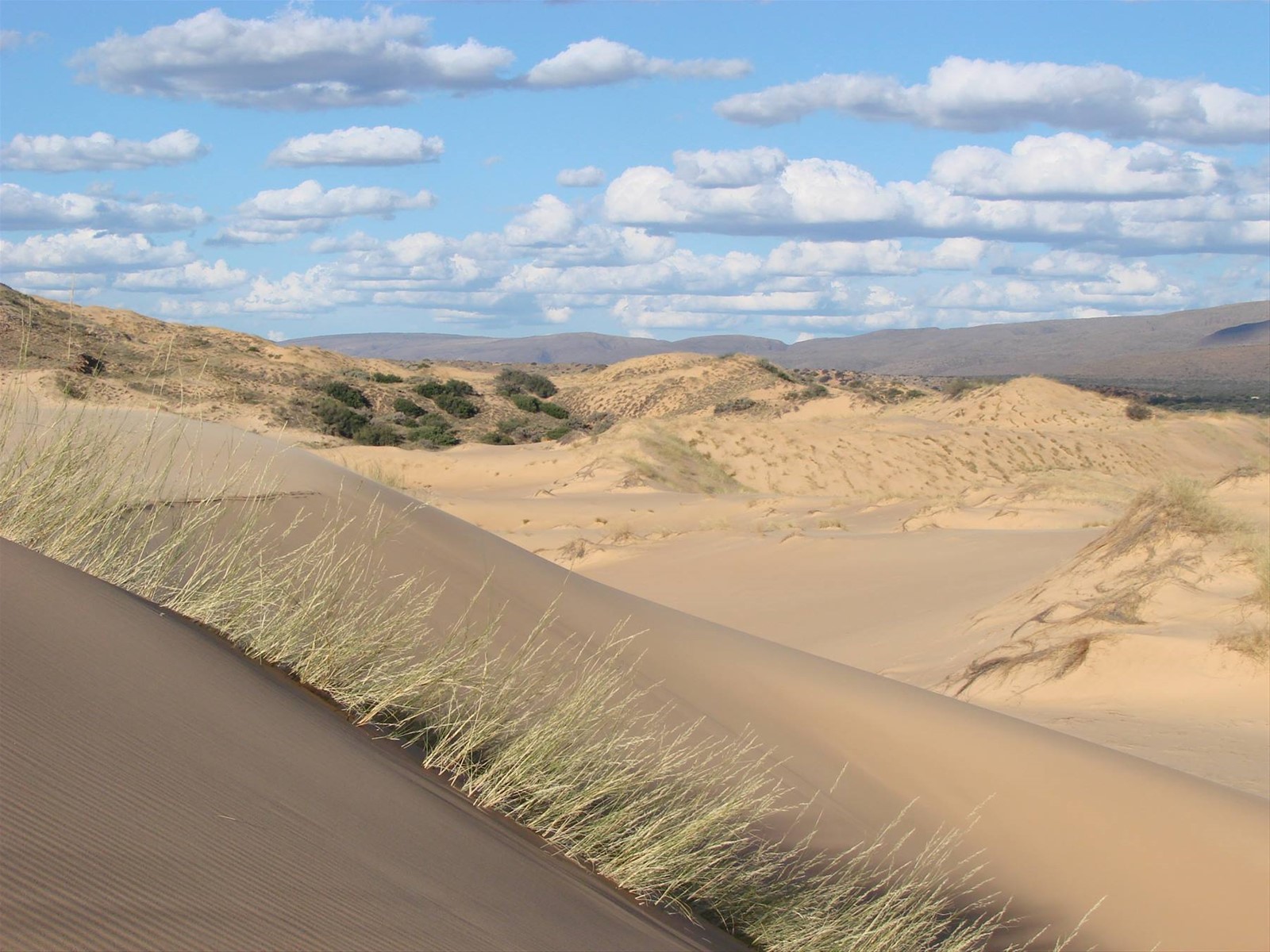Witsand reserve