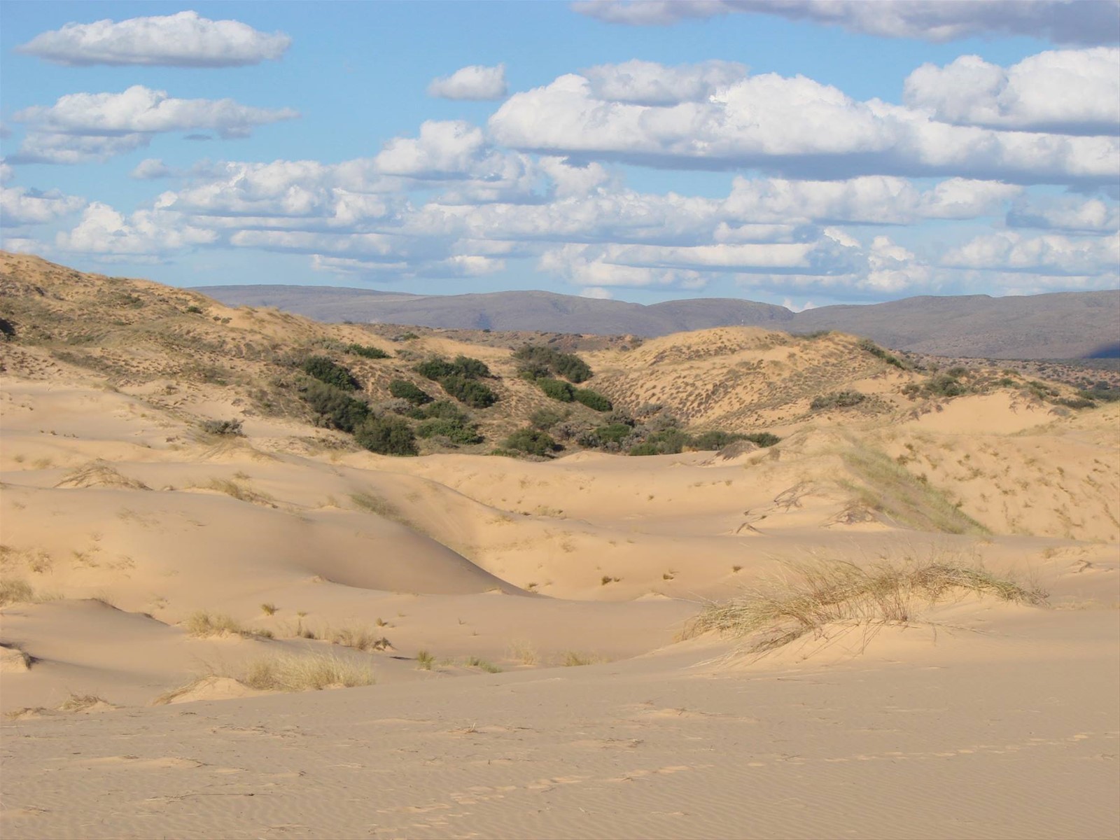 Witsand reserve
