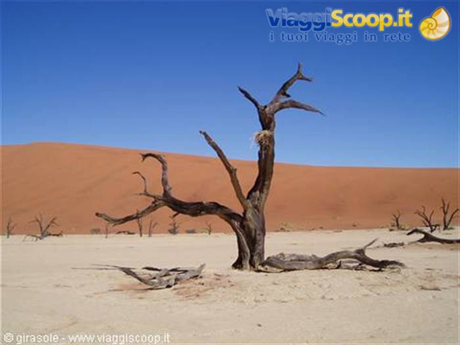 Deadvlei