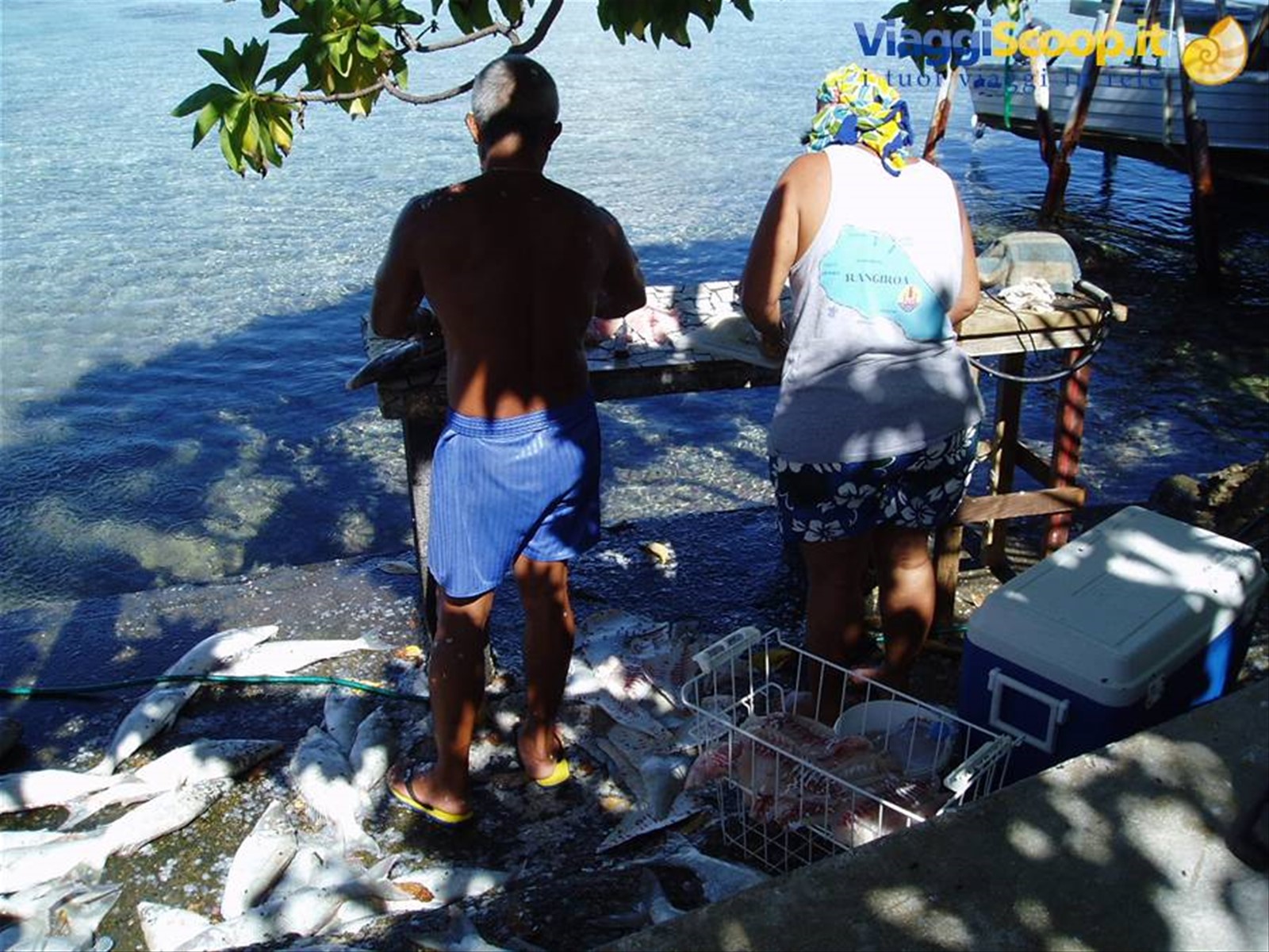 Glorine e famiglia puliscono il pesce x la cena