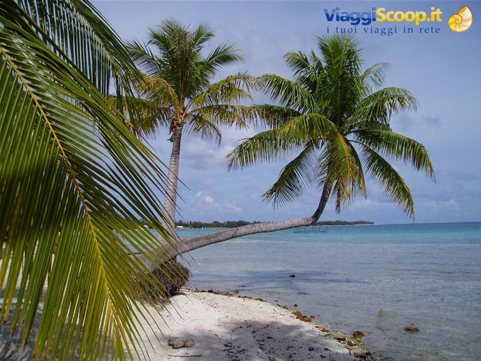 spiaggia di Tikehau