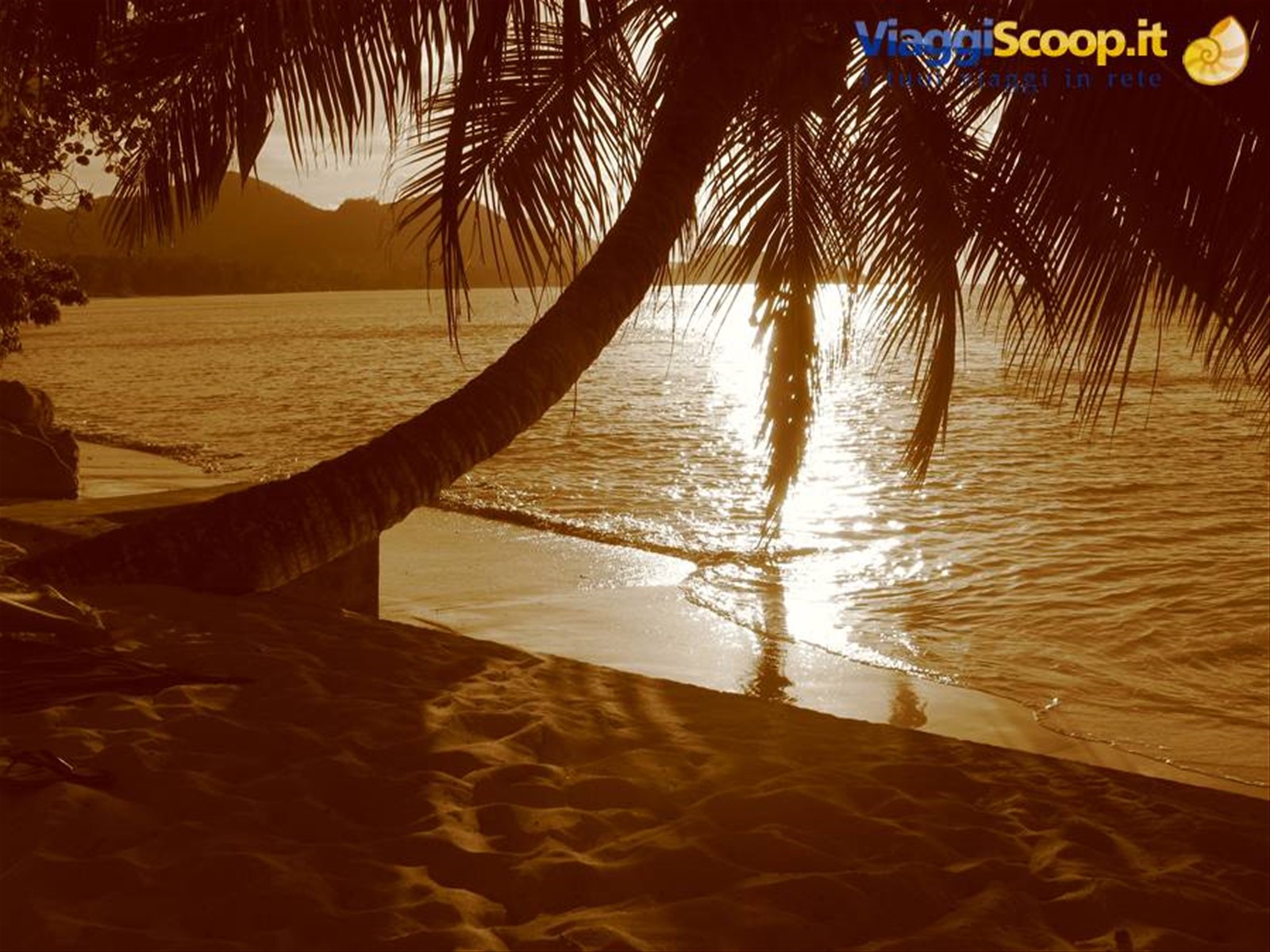 Praslin - Anse Gouvernment