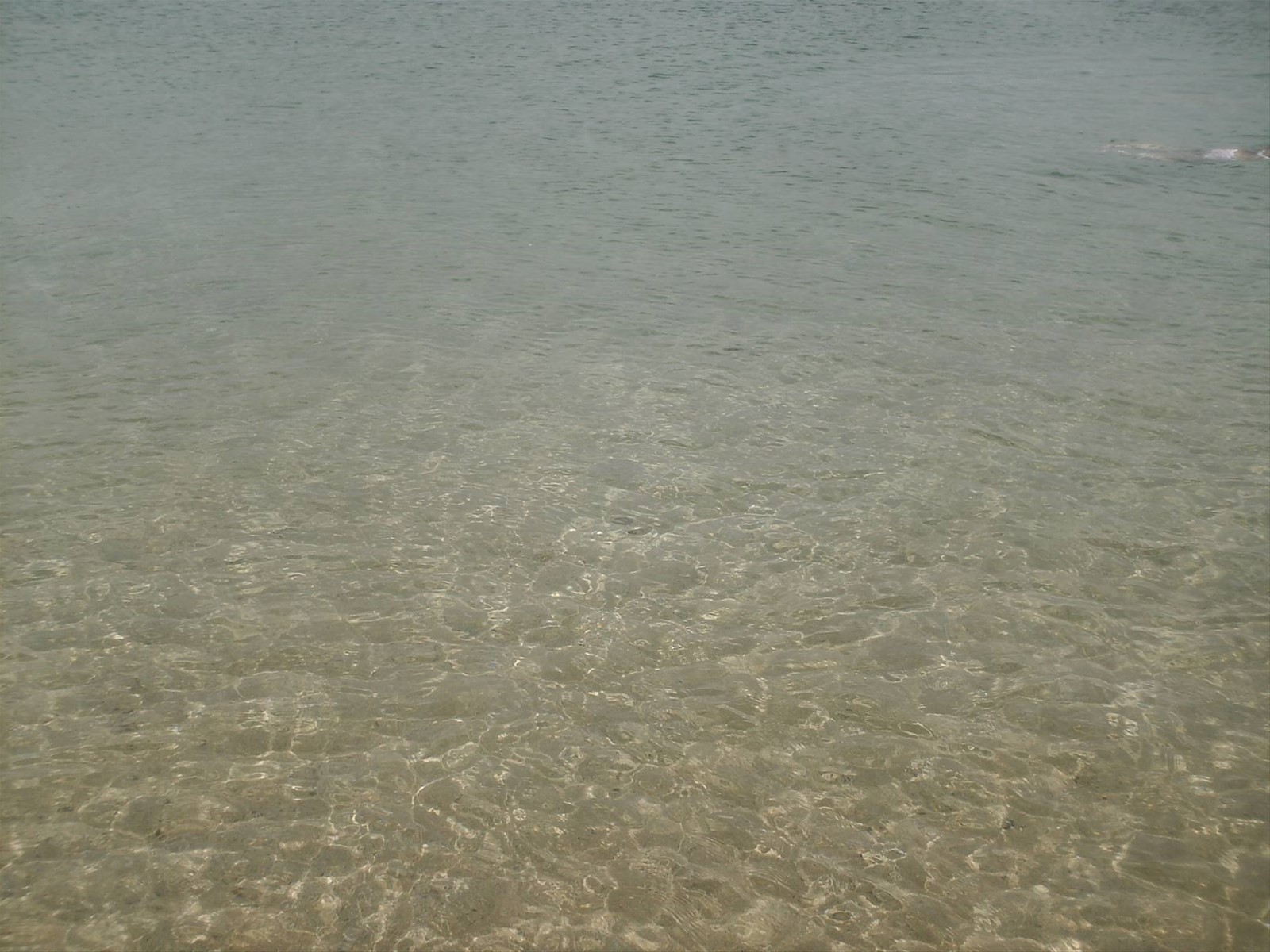 Il mare a Cala Pregonda
