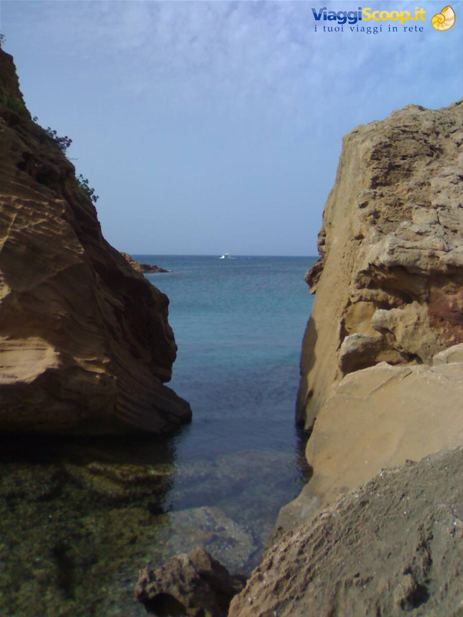 C.Pregonda.