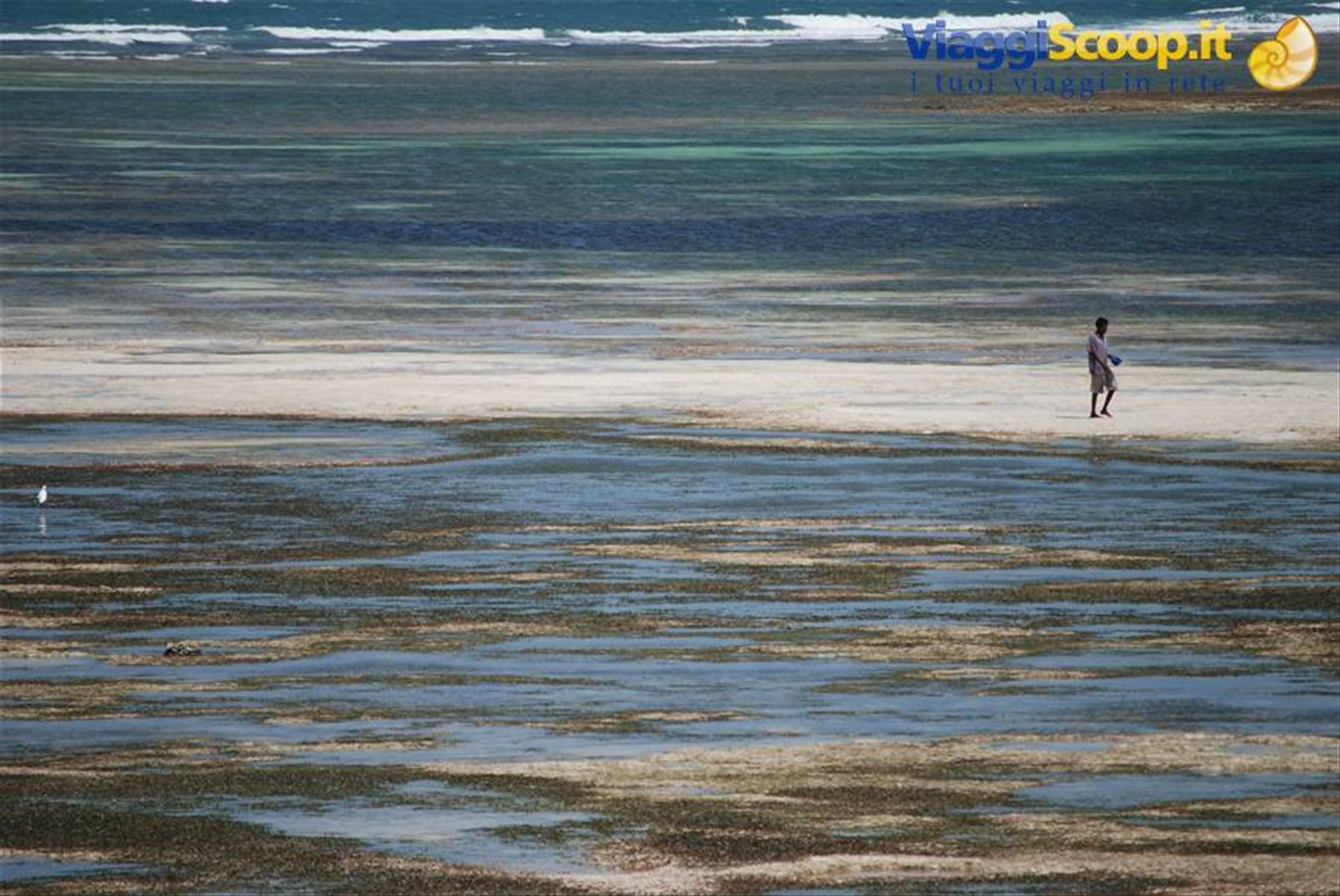 Watamu - Aquarius Beach Resort
