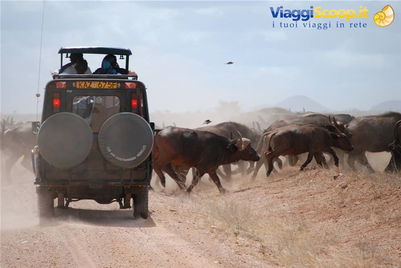 Foto di viaggio in KENYA