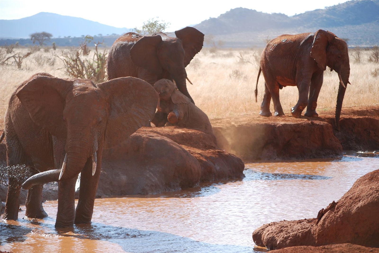 Foto di viaggio in KENYA