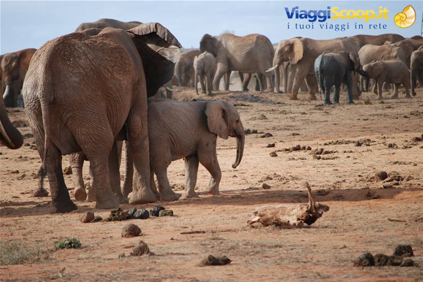 Foto di viaggio in KENYA