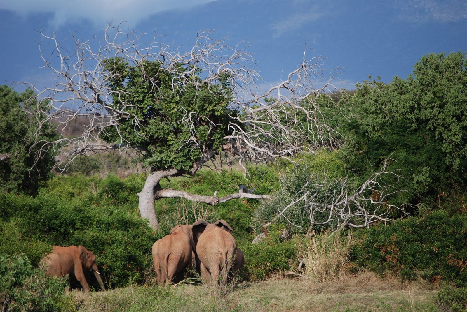 Foto di viaggio in KENYA