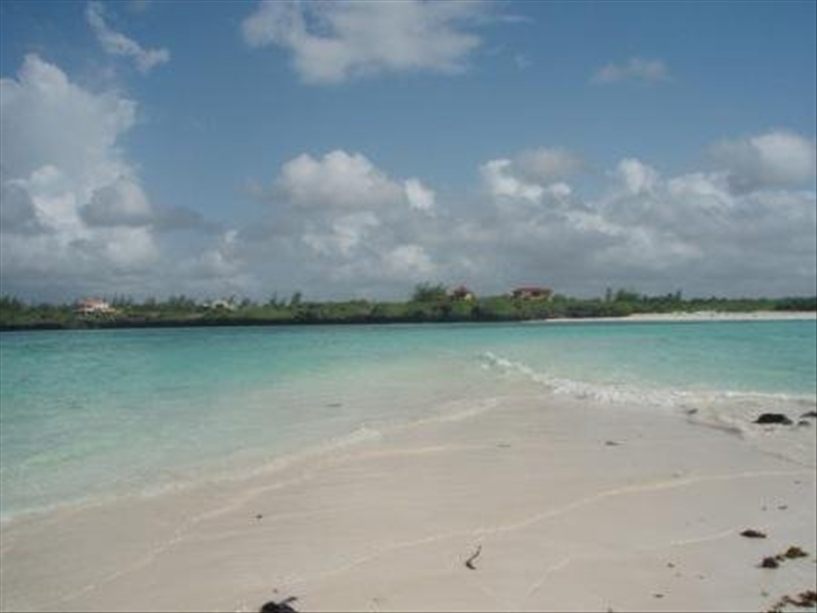 L'isola dell'amore