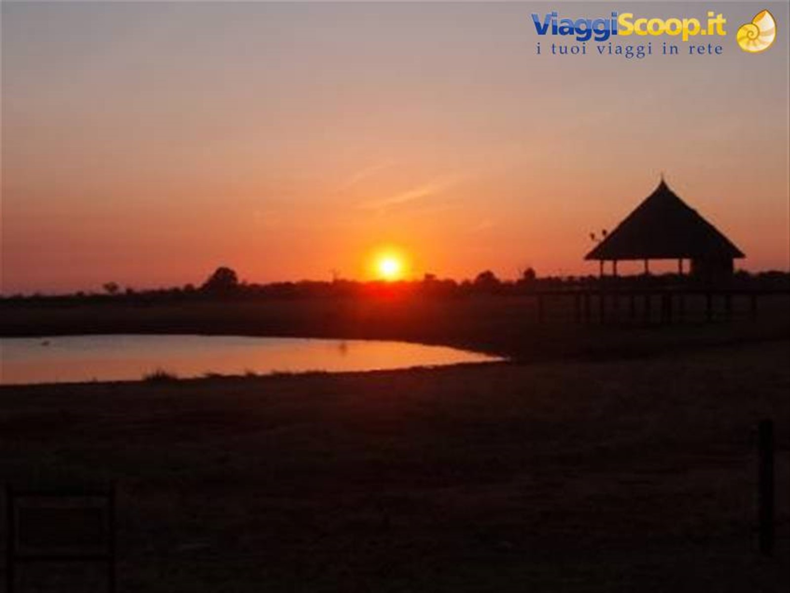 TRAMONTO IN SAVANA