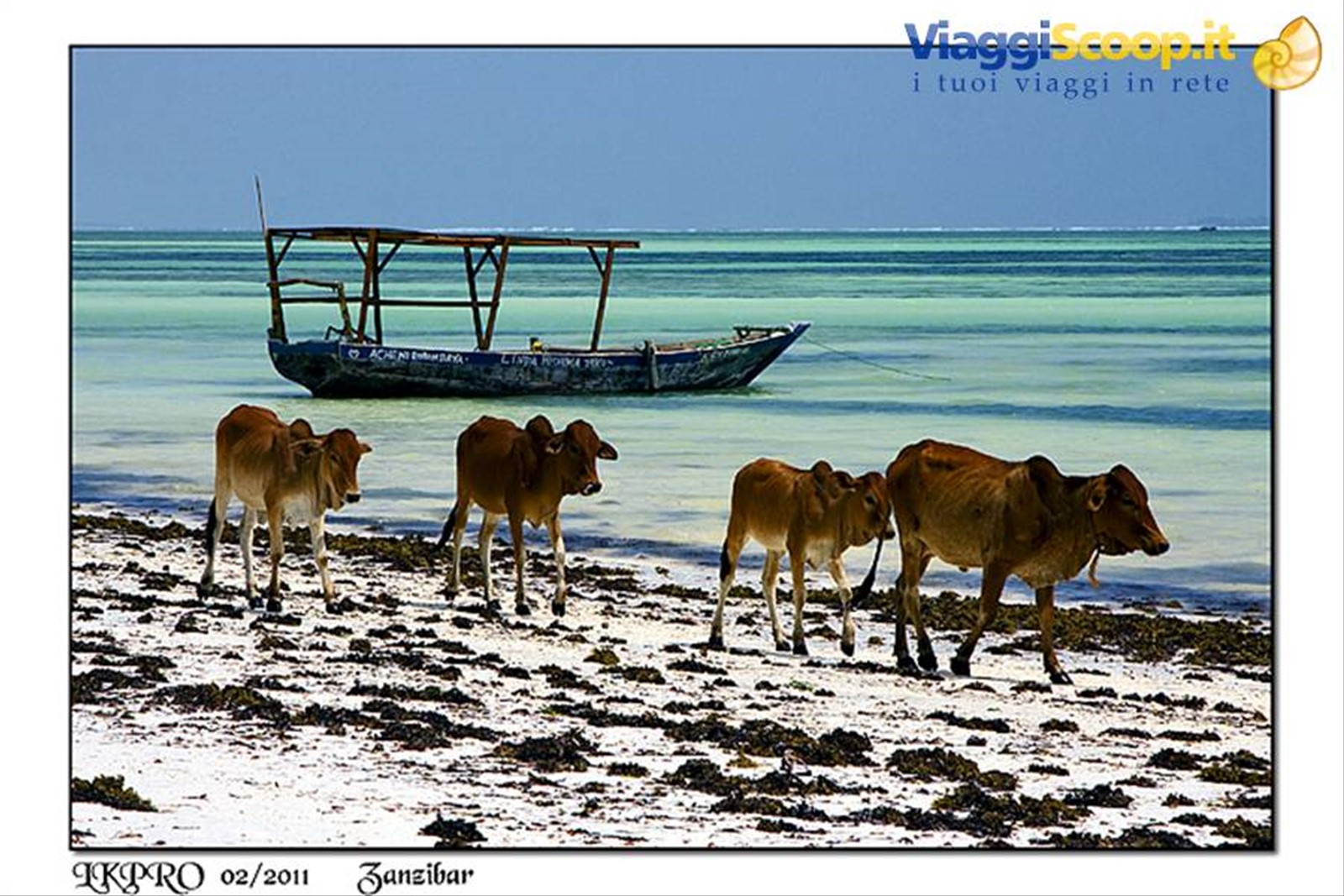 zanzibar