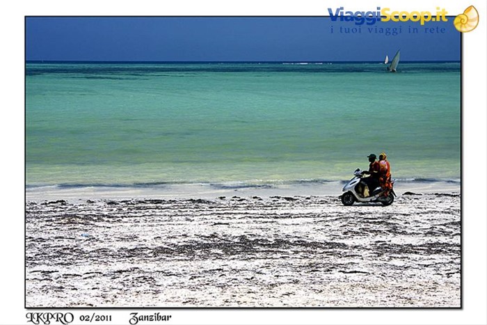 zanzibar