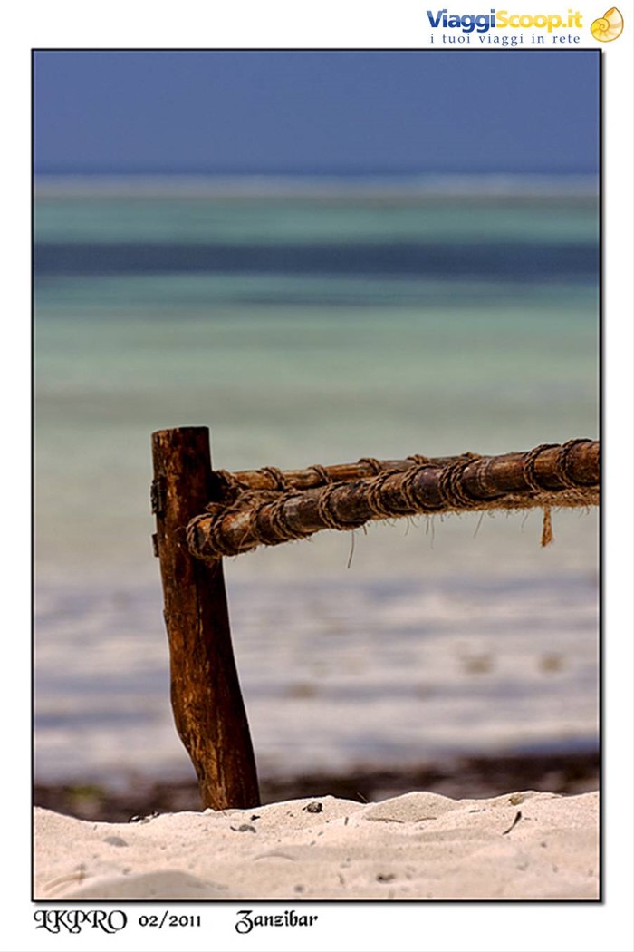 zanzibar
