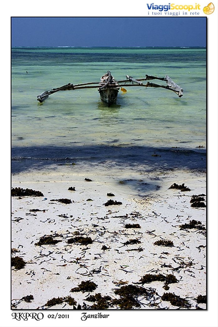 zanzibar