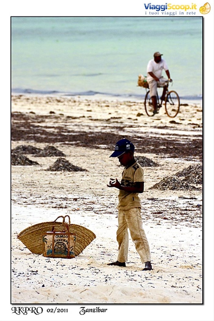 zanzibar