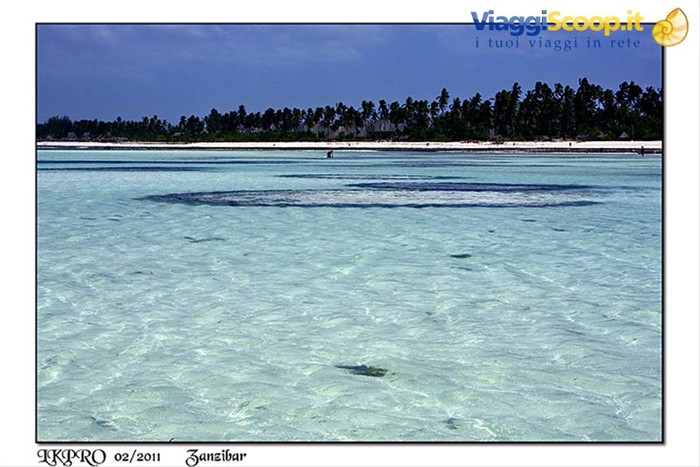 zanzibar