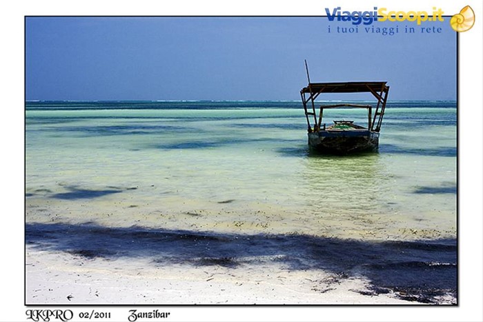 zanzibar