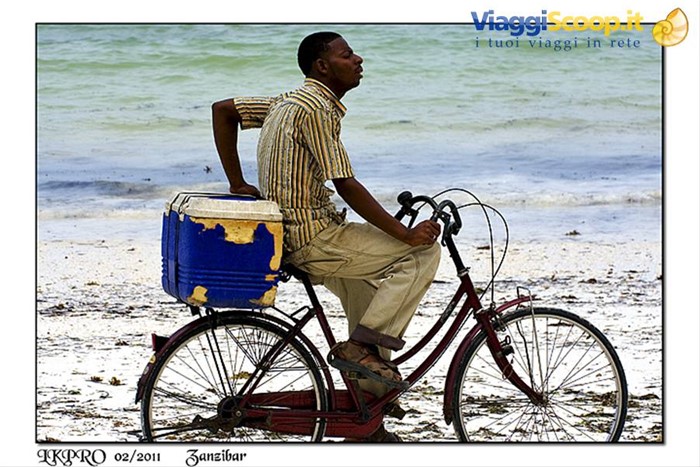 zanzibar