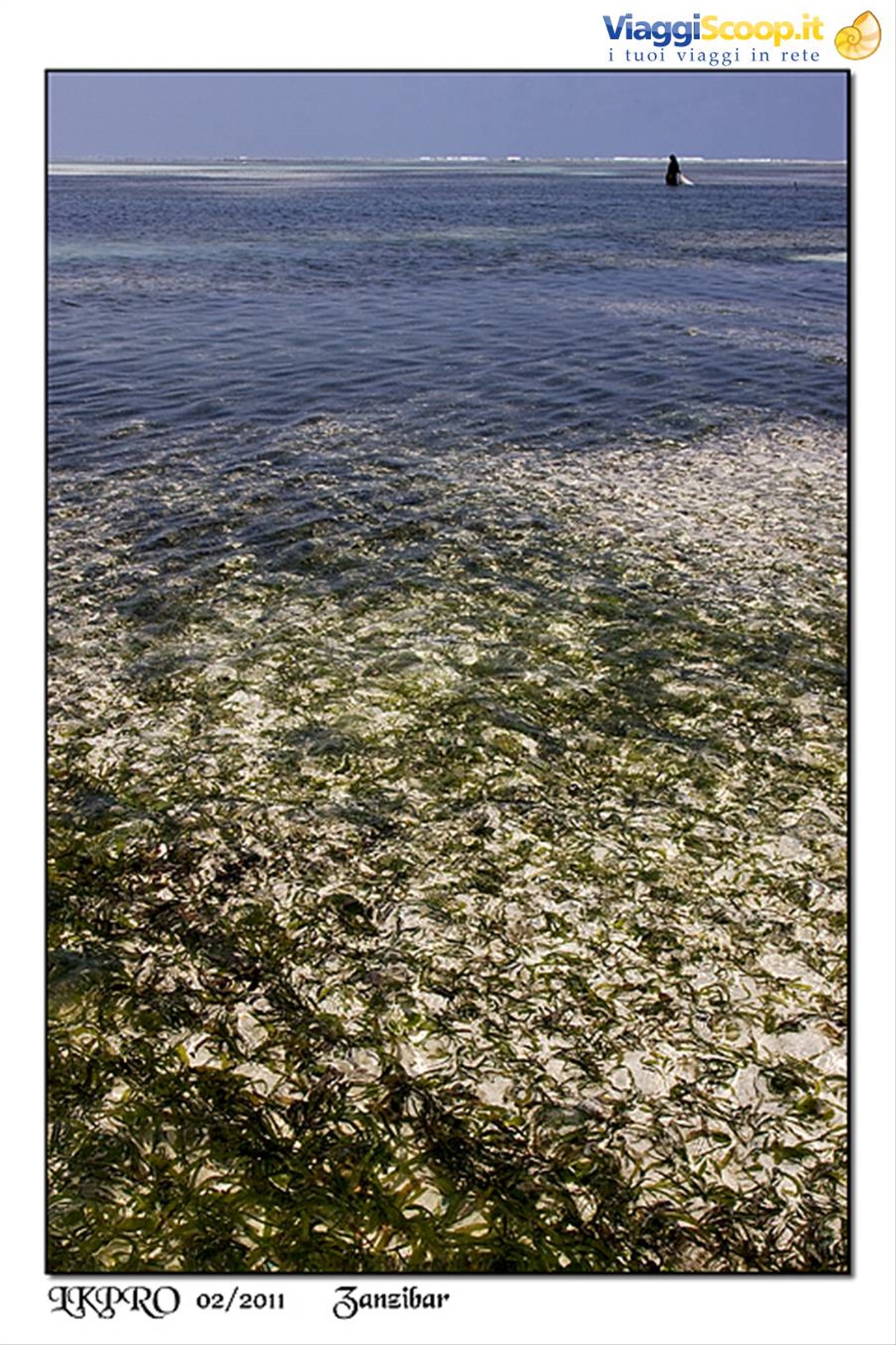 dettaglio