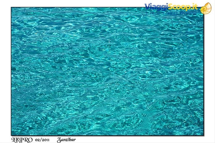 dettaglio