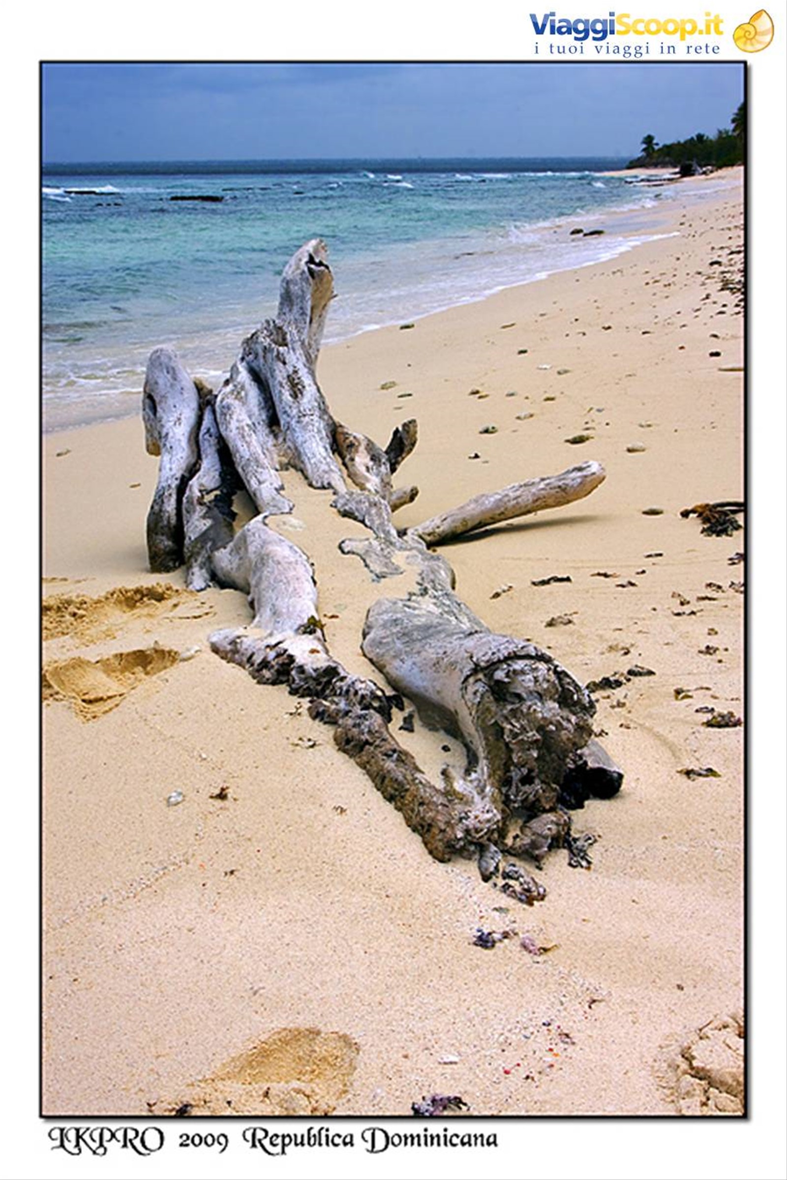 spiaggia