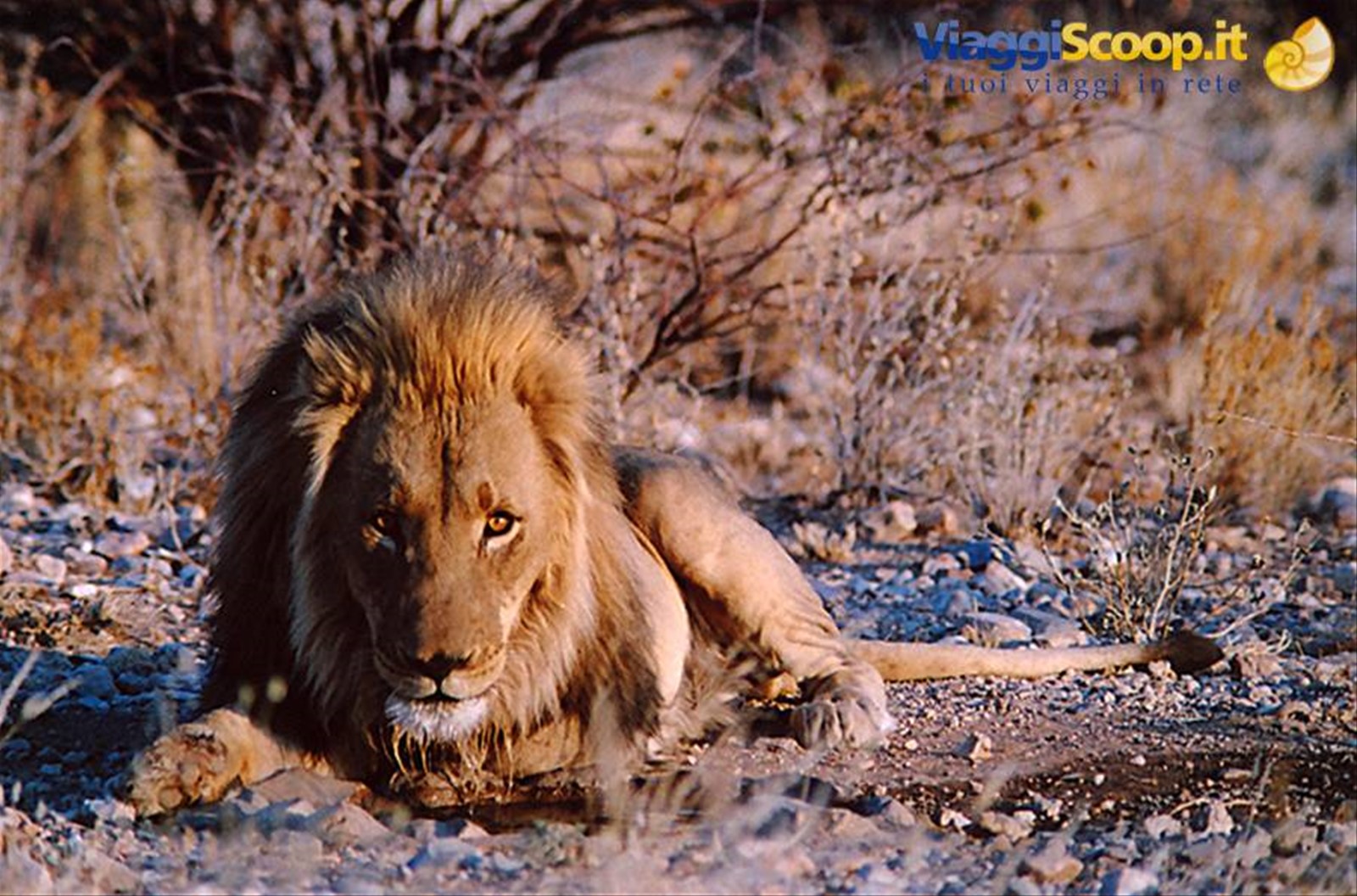 namibia