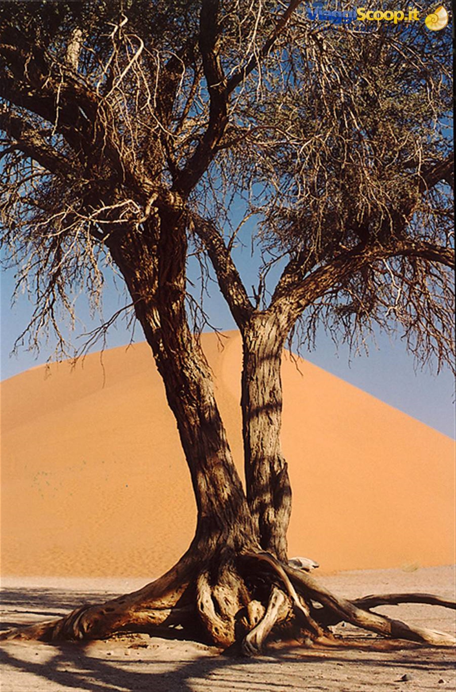 namibia