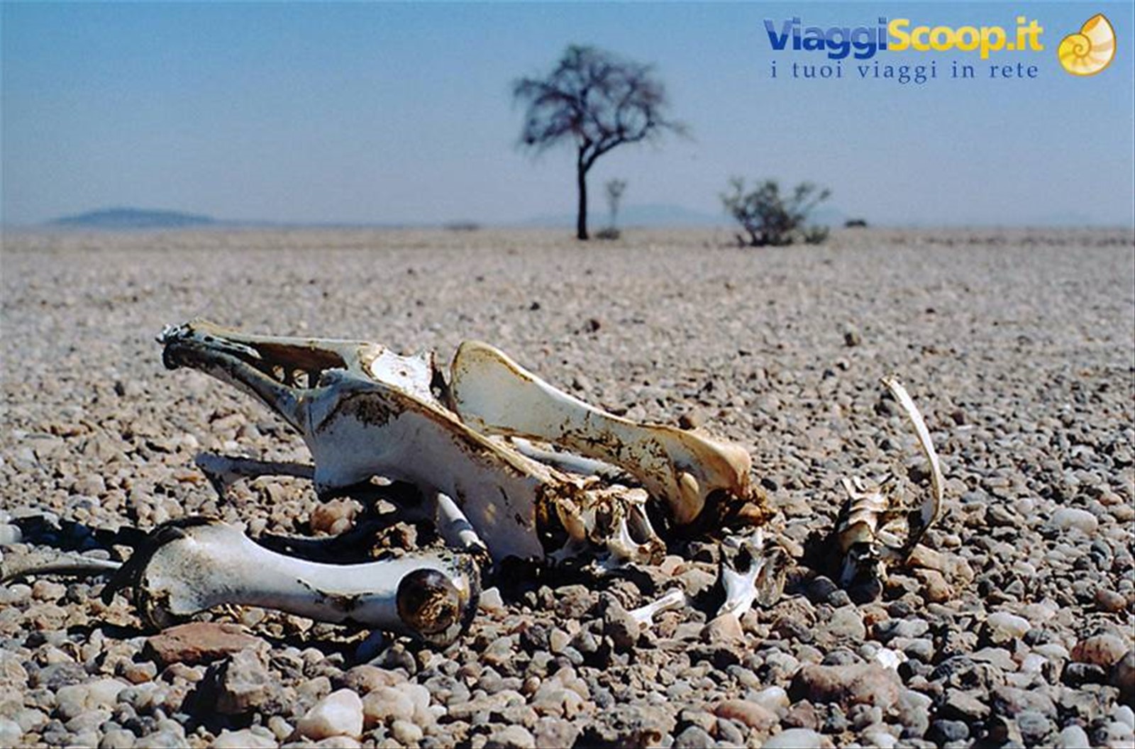 namibia