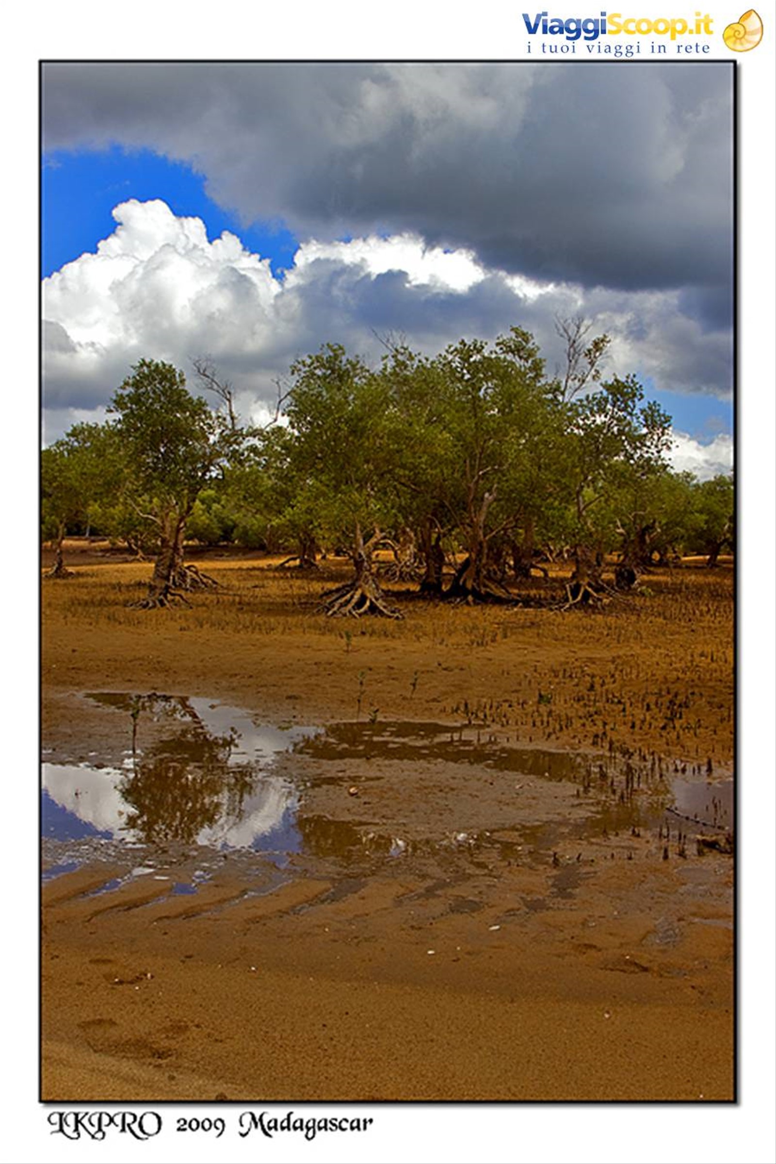 veduta