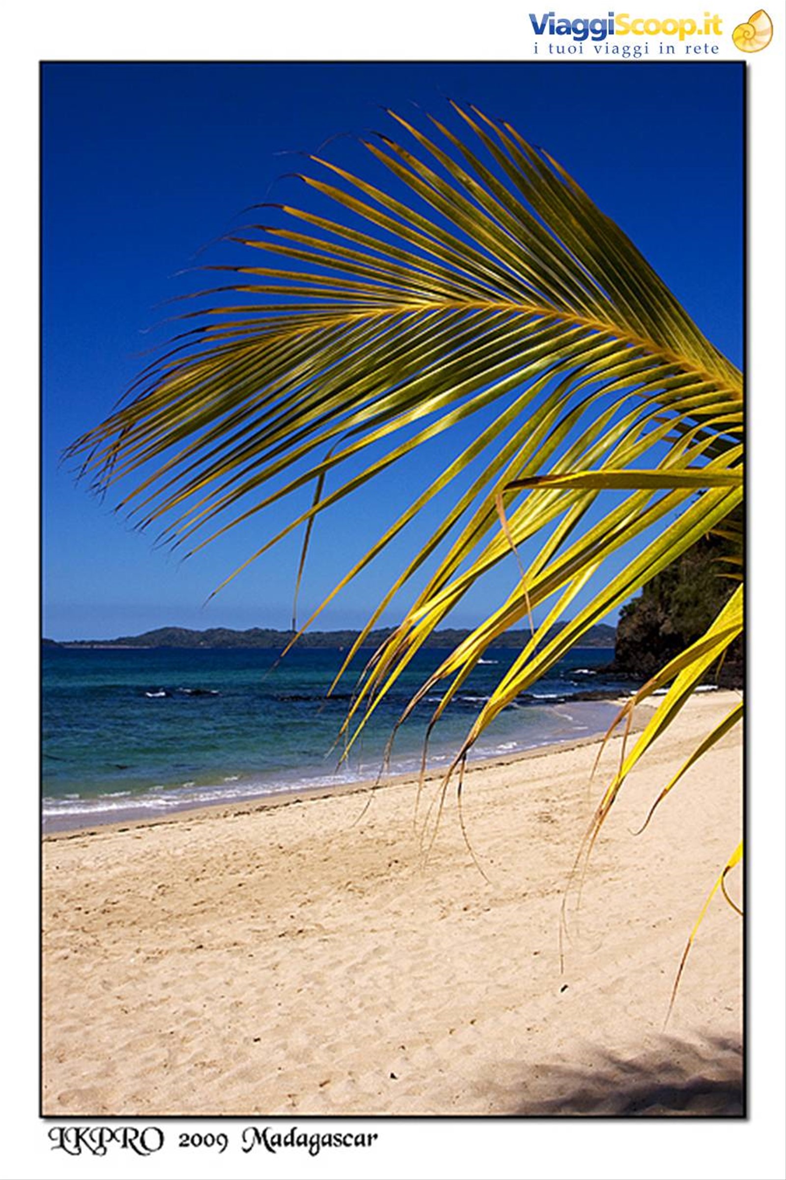 Particolari dal Madagascar