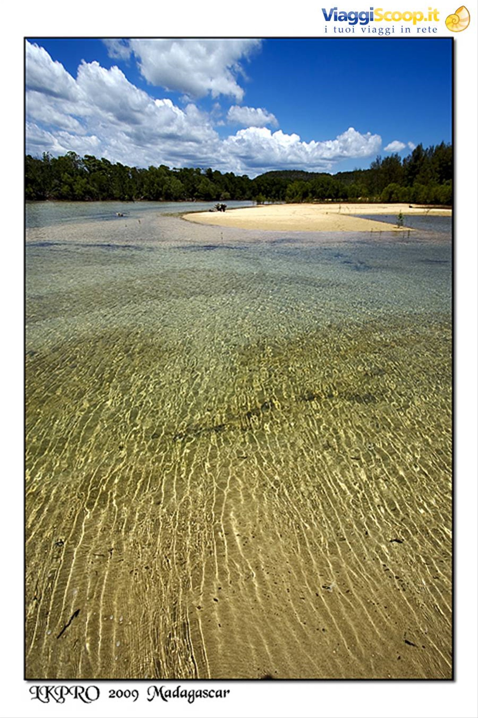 Particolari dal Madagascar