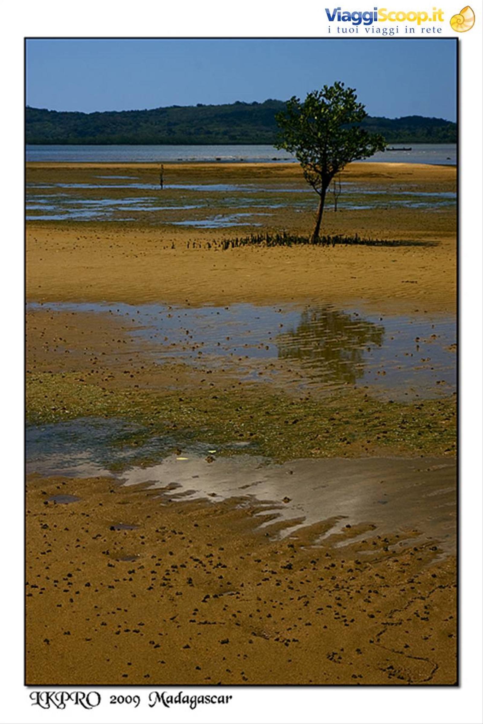 Particolari dal Madagascar