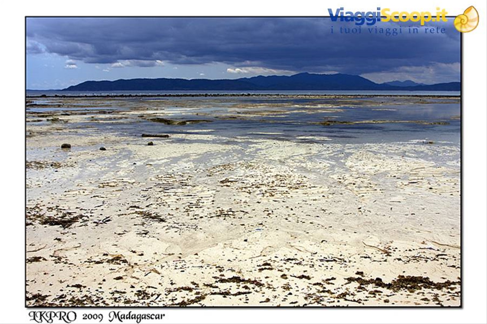 Particolari dal Madagascar