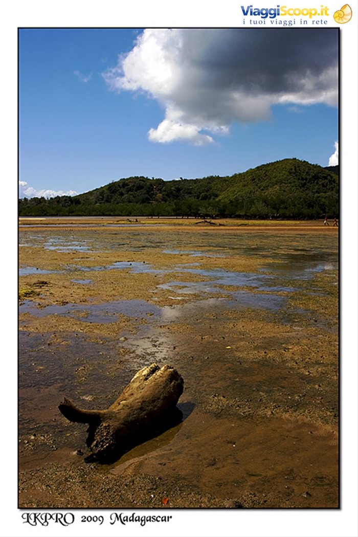 veduta