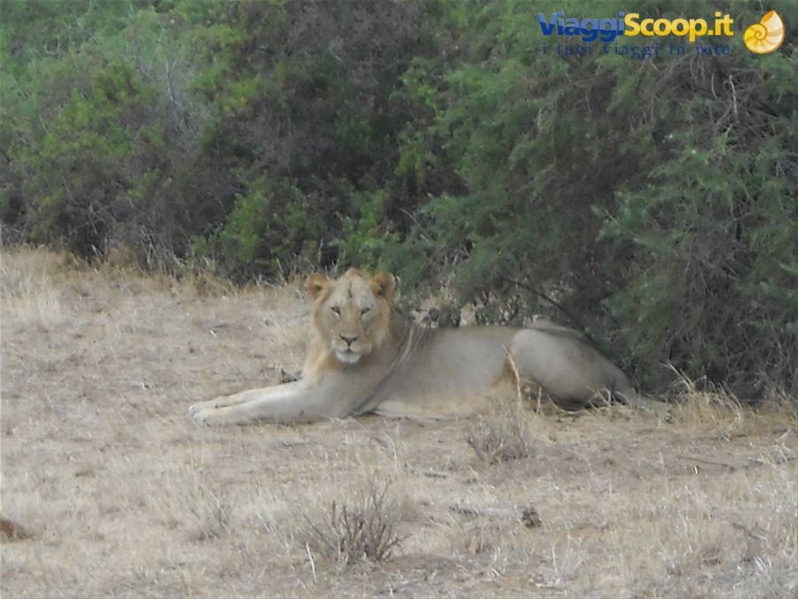 Foto di viaggio in KENYA