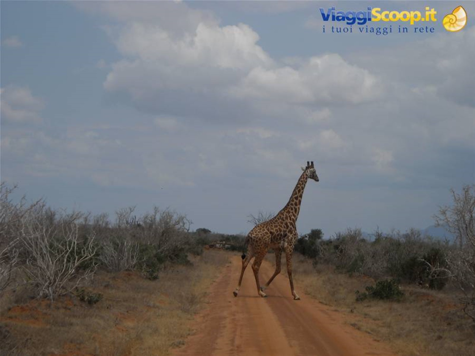 Foto di viaggio in KENYA