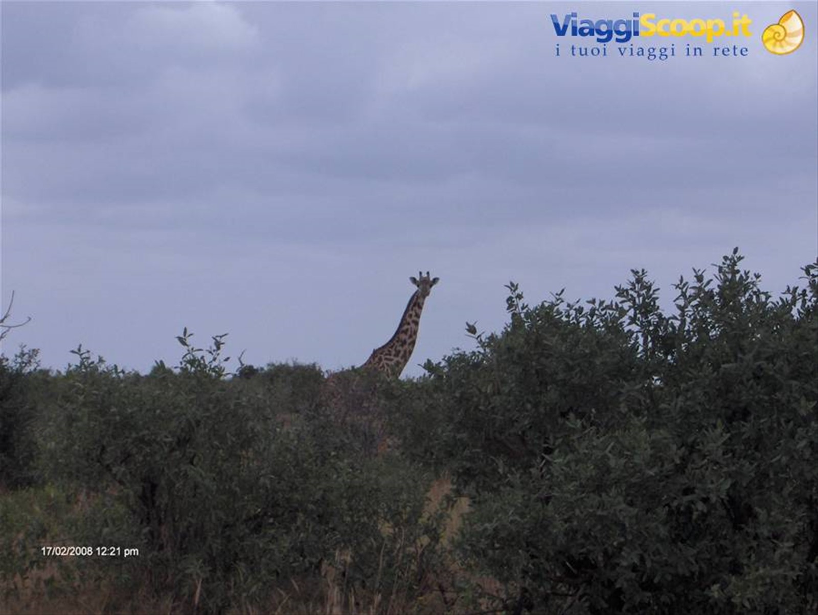 Foto di viaggio in KENYA