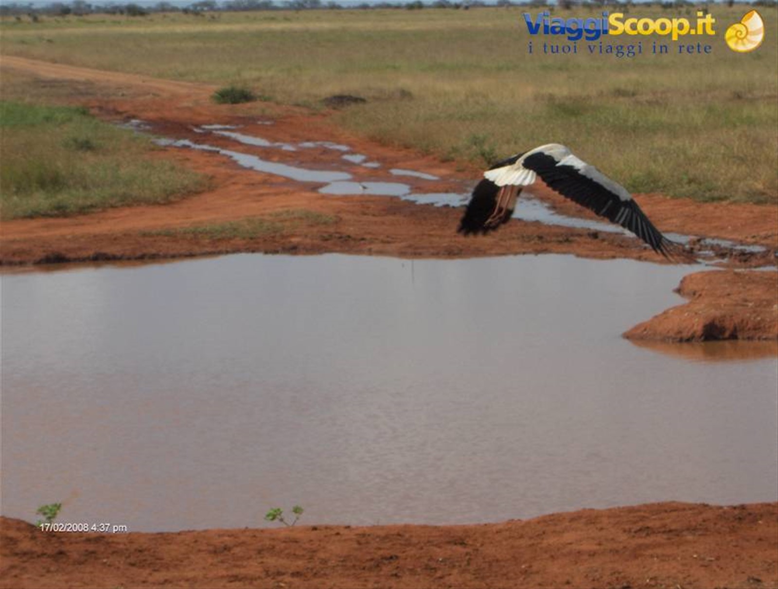 Foto di viaggio in KENYA